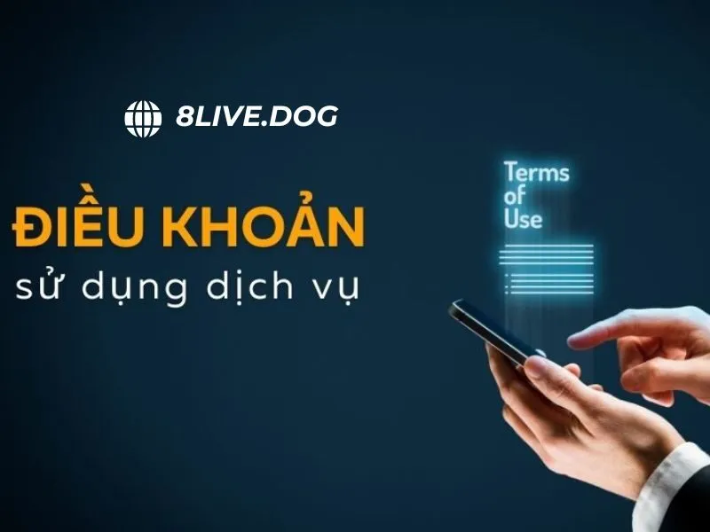 Tổng hợp các quy định cơ bản cần tuân thủ khi tham gia